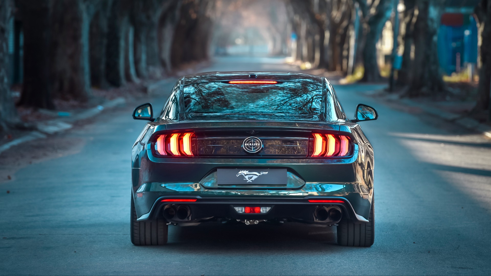 Ford Mustang Bullitt 2019 4K 4 Wallpaper | HD Car Wallpapers | ID #12959
