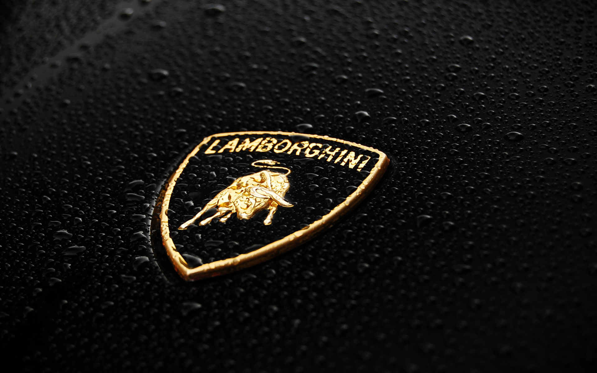 Lamborghini Logo Wallpaper | HD Car Wallpapers | ID #2985