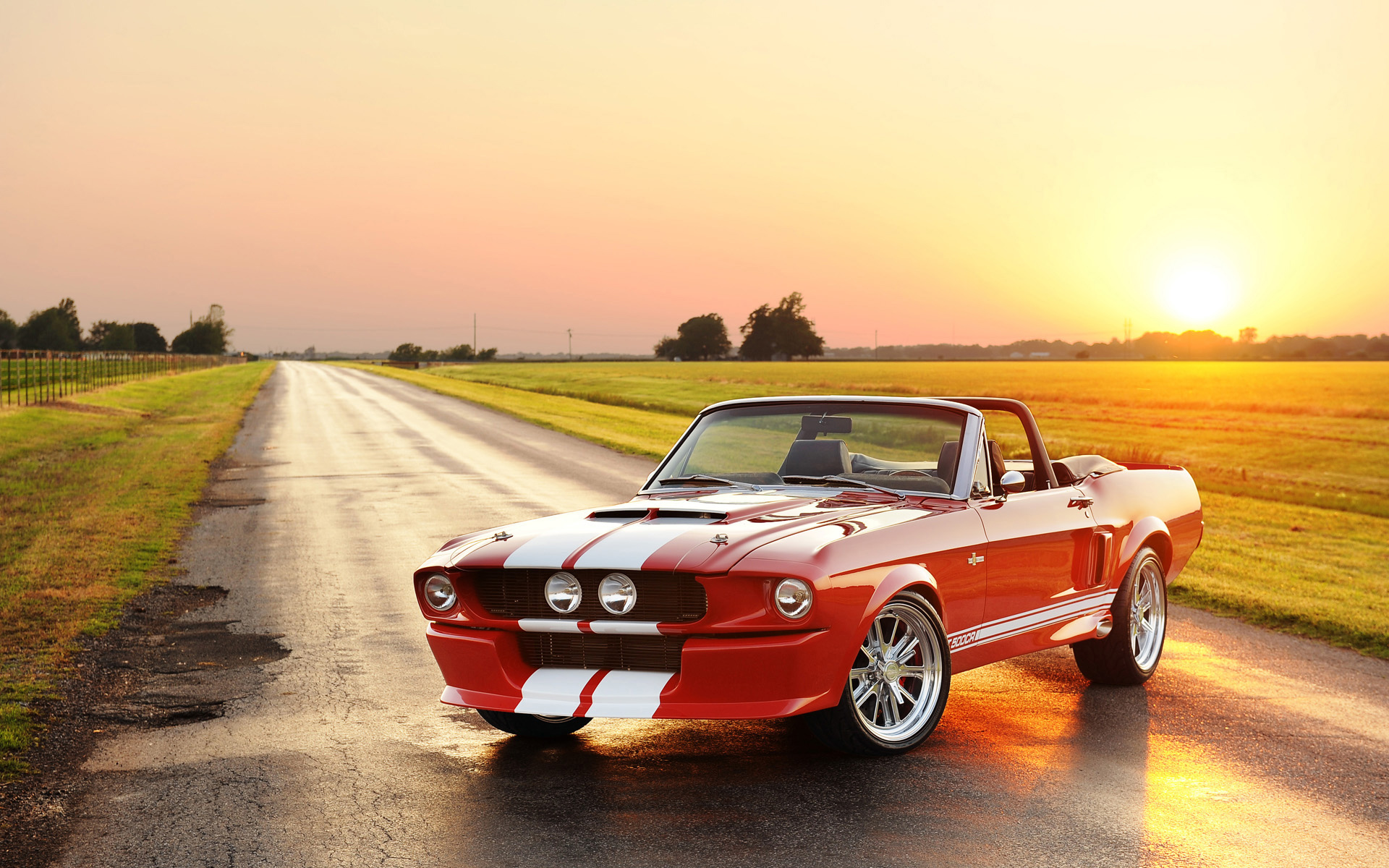 2012 Classic Shelby GT 500CR Convertible Wallpaper  HD Car Wallpapers