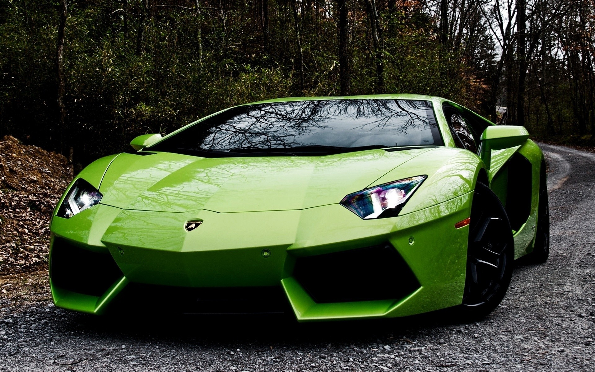 Exotic Lamborghini Car Wallpaper HD Car Wallpapers ID 2665