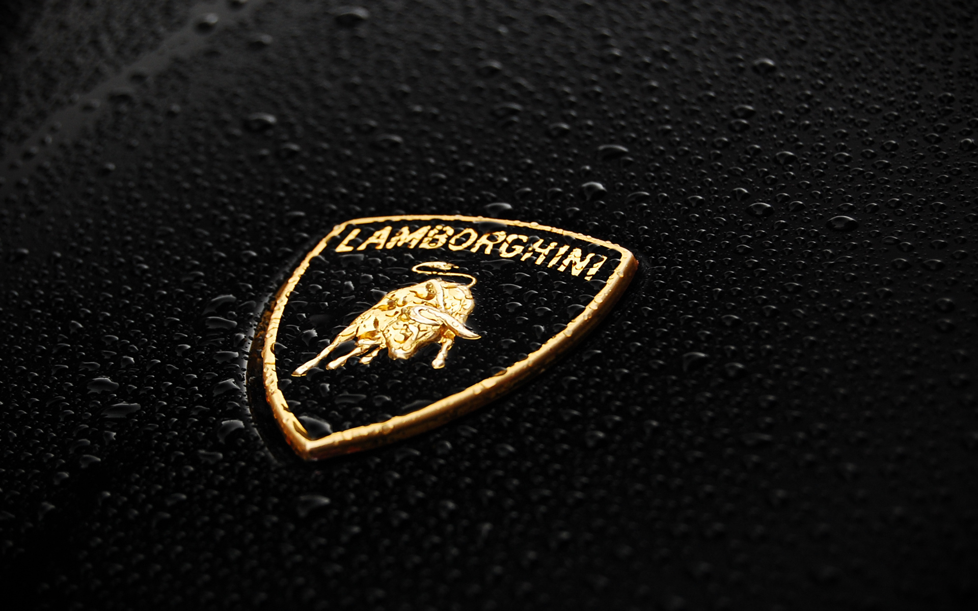 логотип lamborghini обои