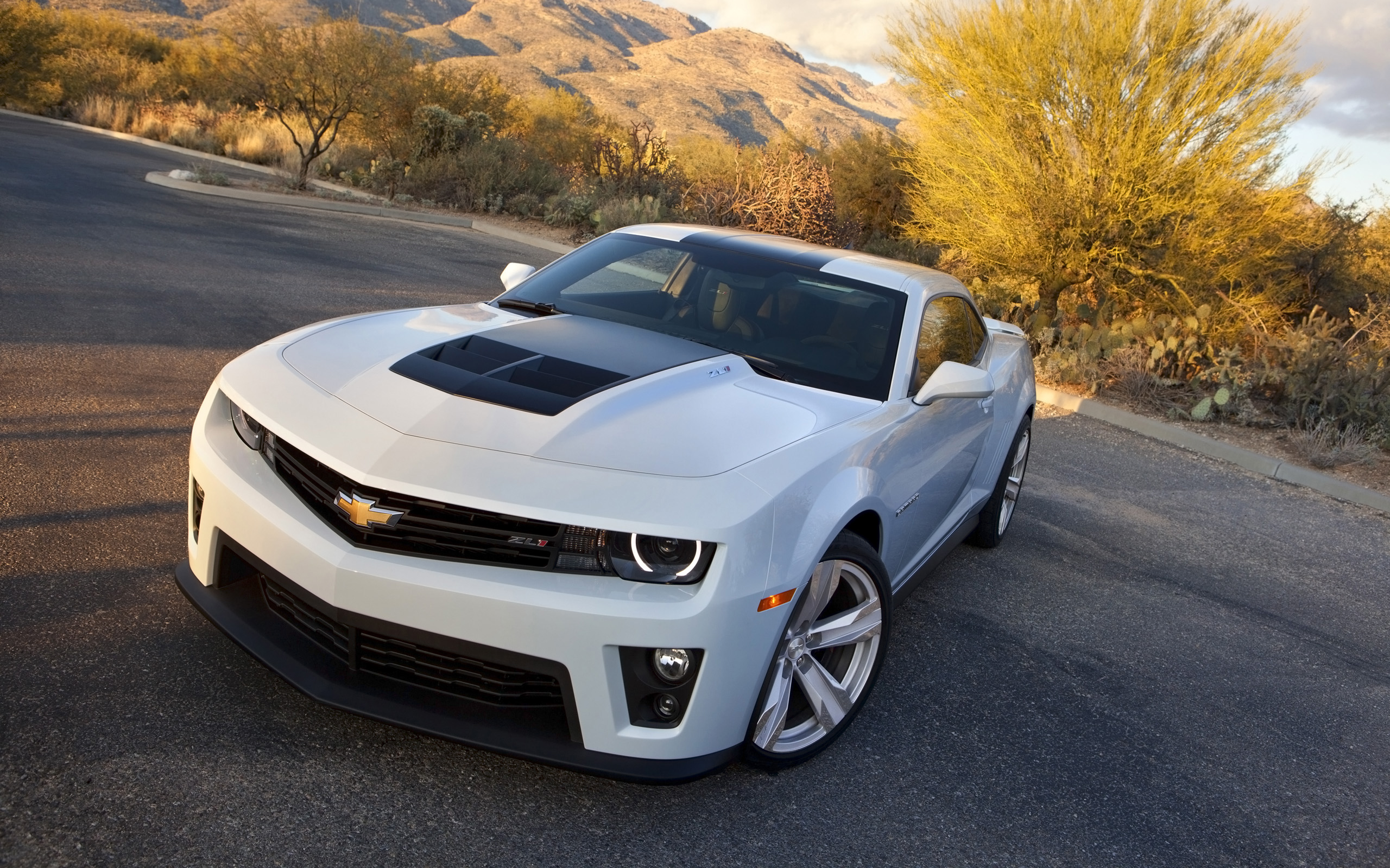 2014 Chevrolet Camaro ZL1 Coupe 2 Wallpaper | HD Car Wallpapers | ID #4366