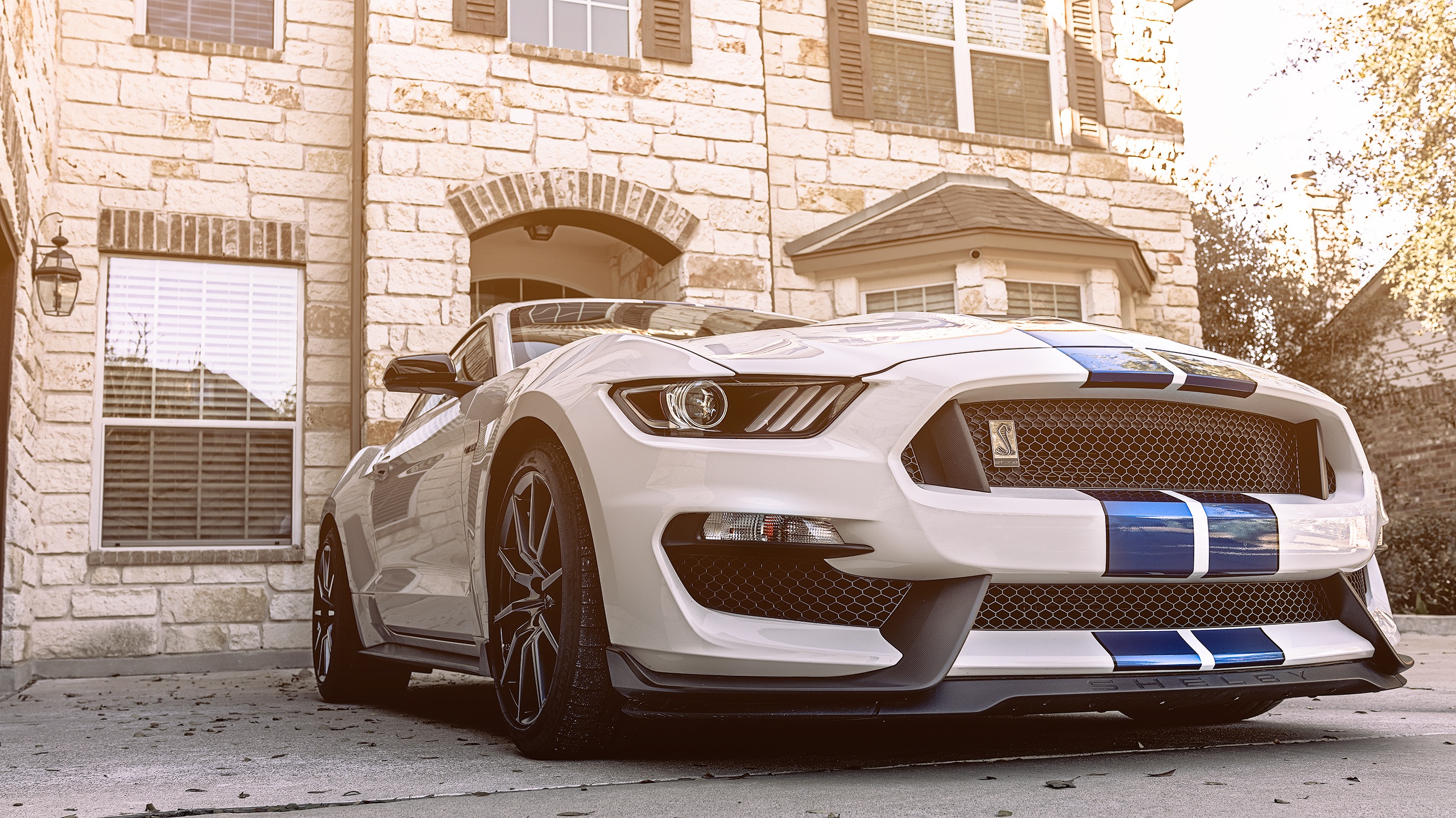 2018 Ford Mustang Shelby Gt350 Wallpaper Hd Car Wallpapers Id 9531