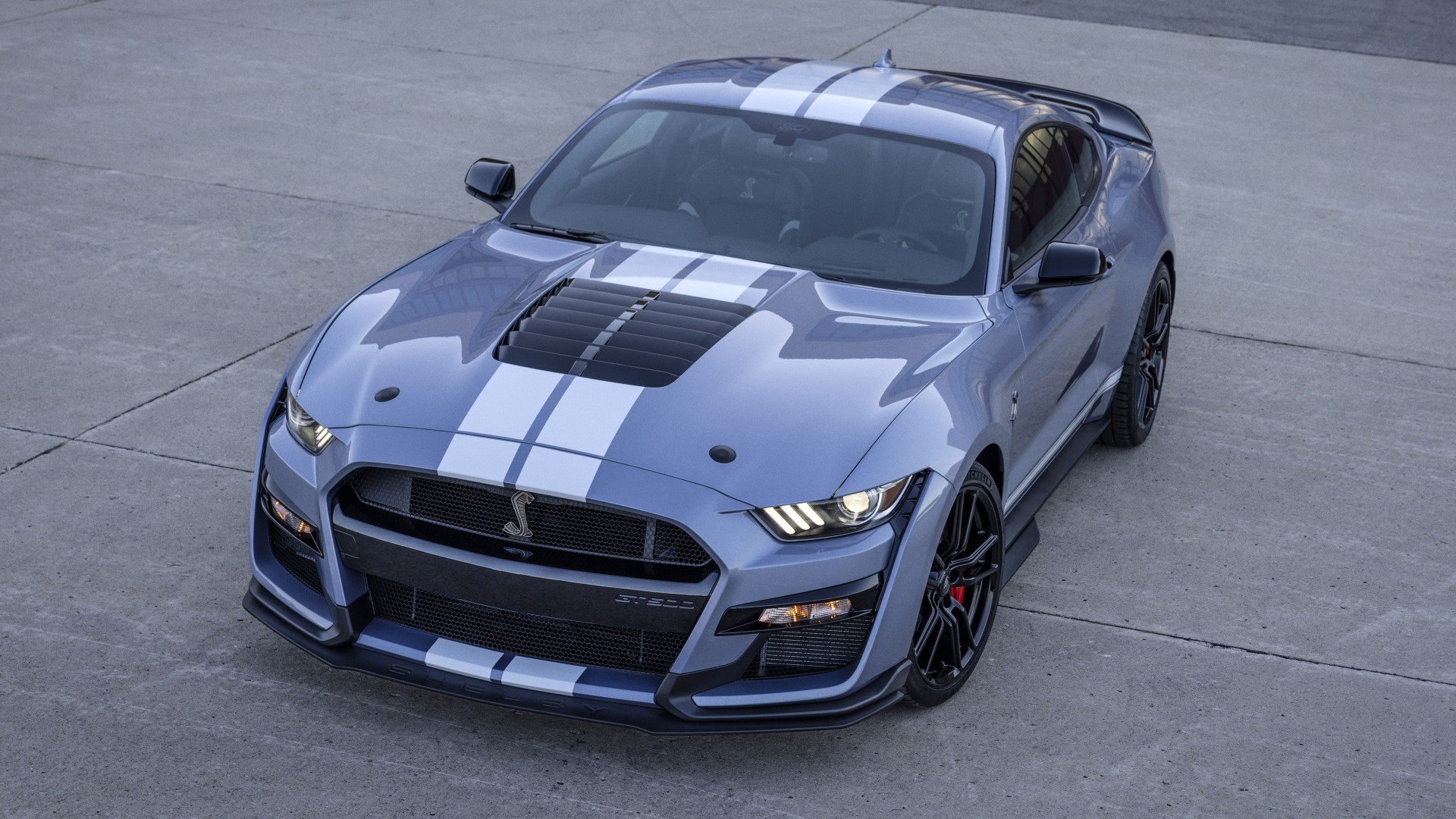 ford mustang shelby gt500 super snake hd