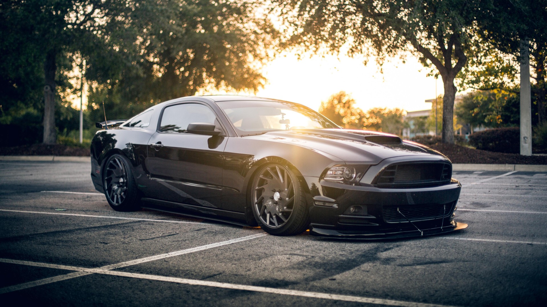 Ford Mustang Shelby Black 4K Wallpaper | HD Car Wallpapers | ID #7795