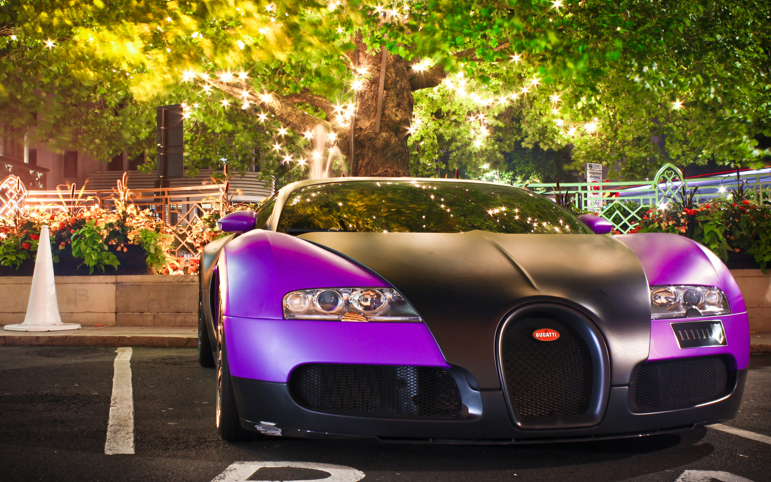 Purple Bugatti Veyron Wallpaper | HD Car Wallpapers | ID #3040