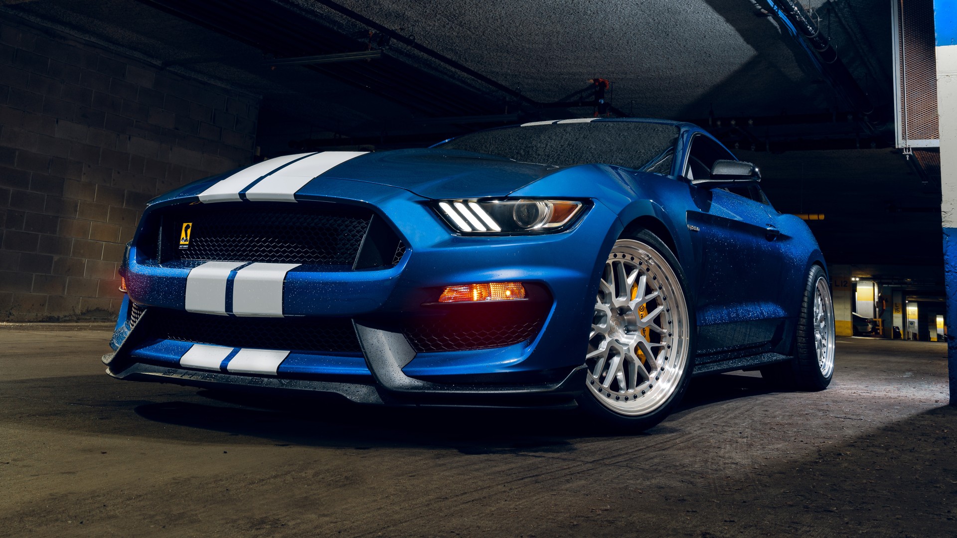 Ford Shelby GT350 8K Wallpaper - HD Car Wallpapers #23467