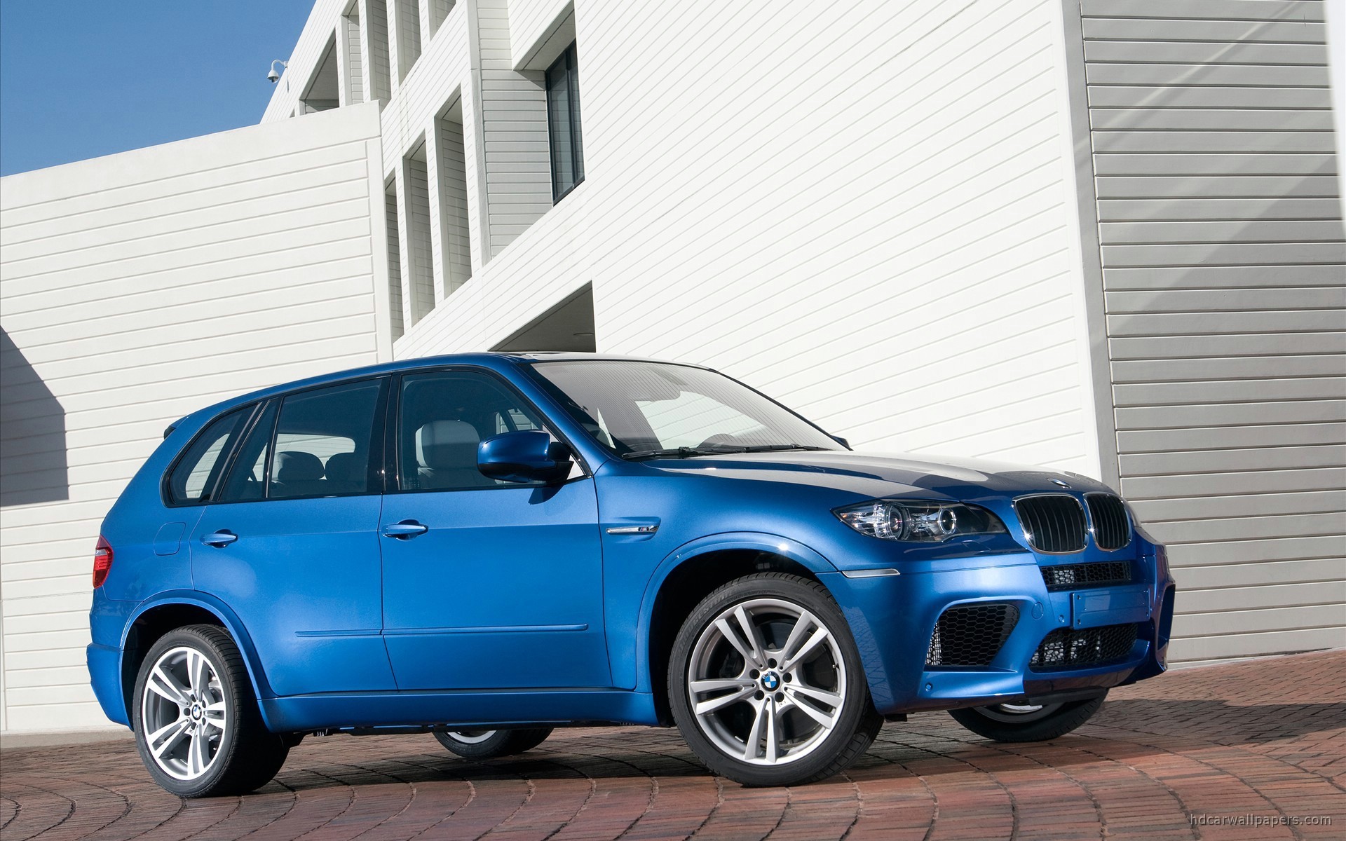 2010 BMW X5 M