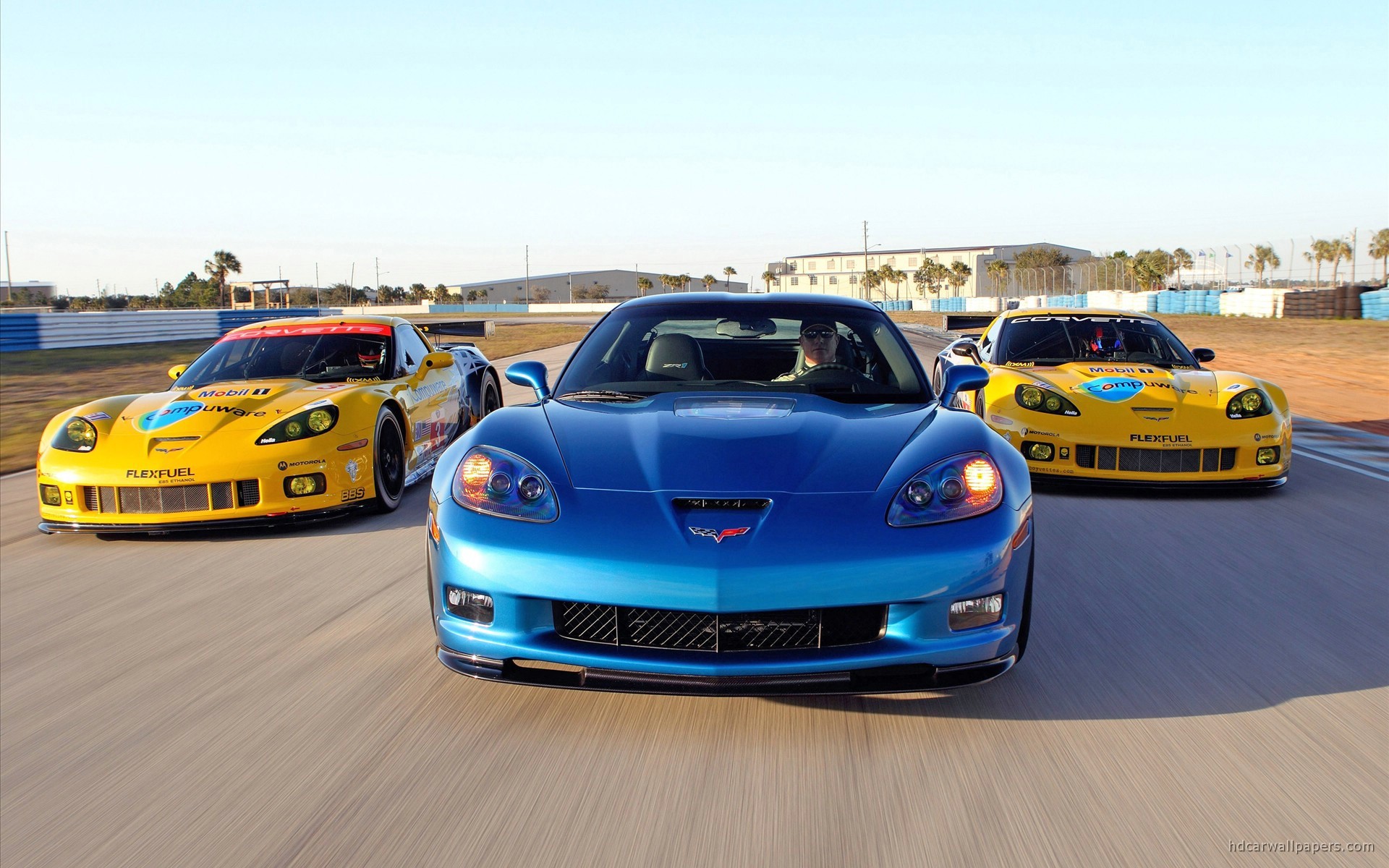 2010 Corvette Racing Sebring Cars
