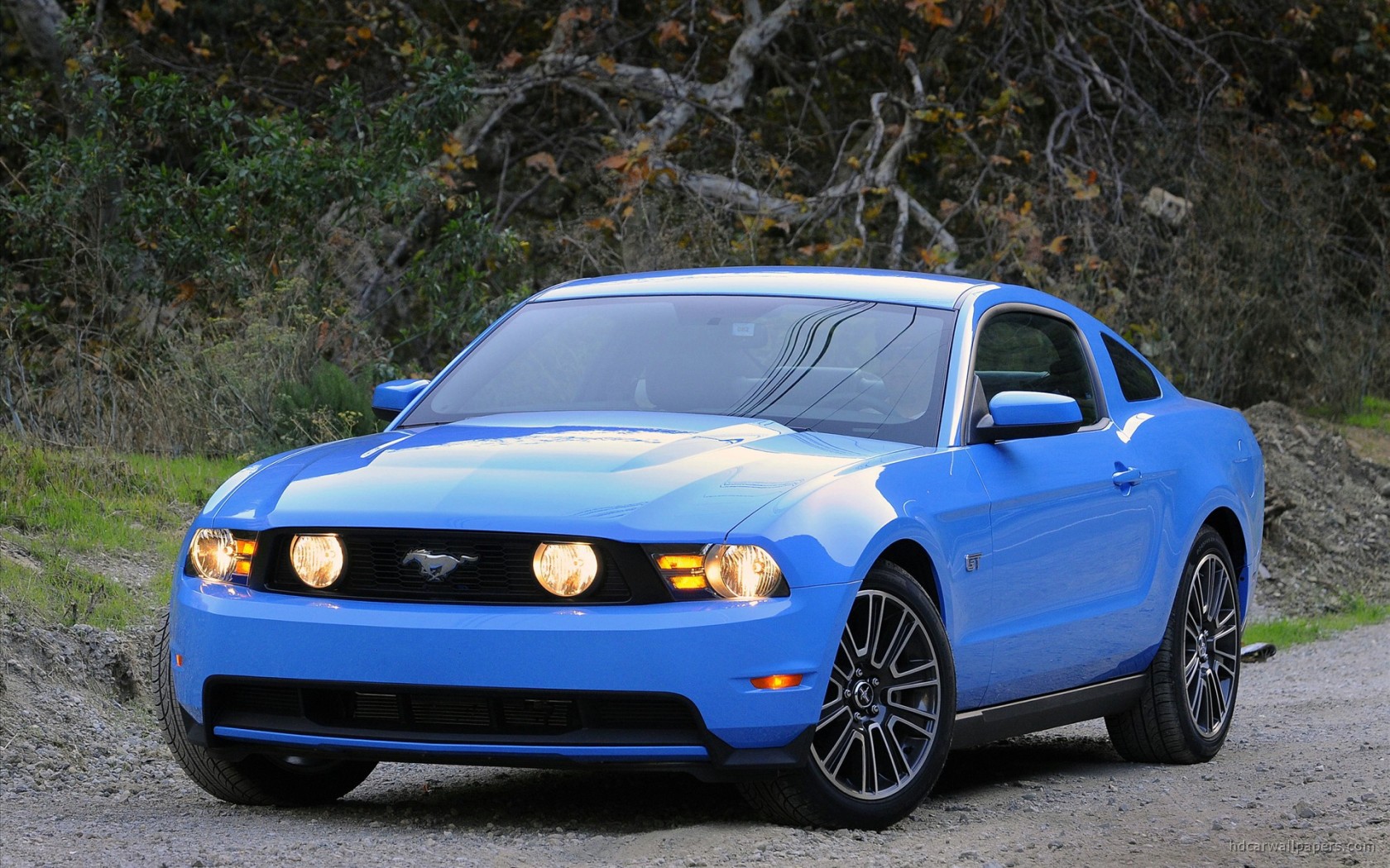 2010 Ford Mustang GT