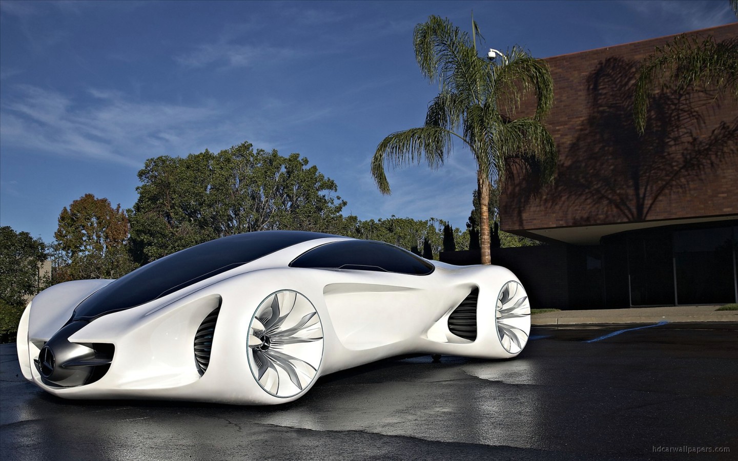 2010 Mercedes Benz Biome Concept