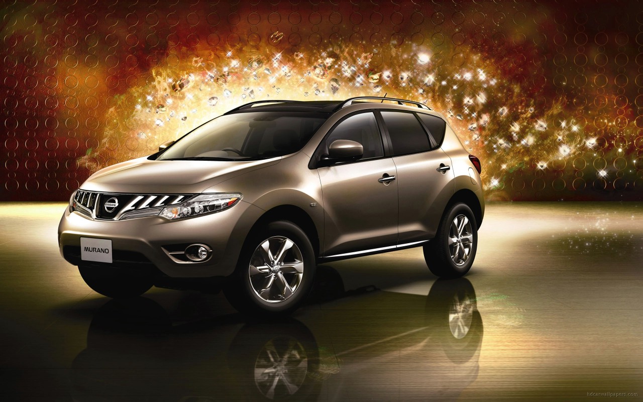 2010 Nissan murano