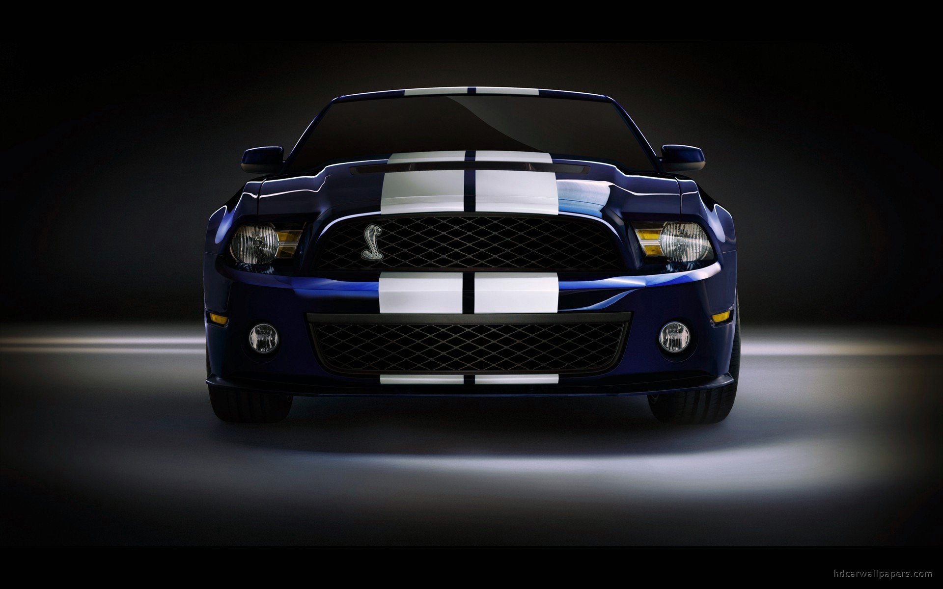 2010 Shelby GT500 4
