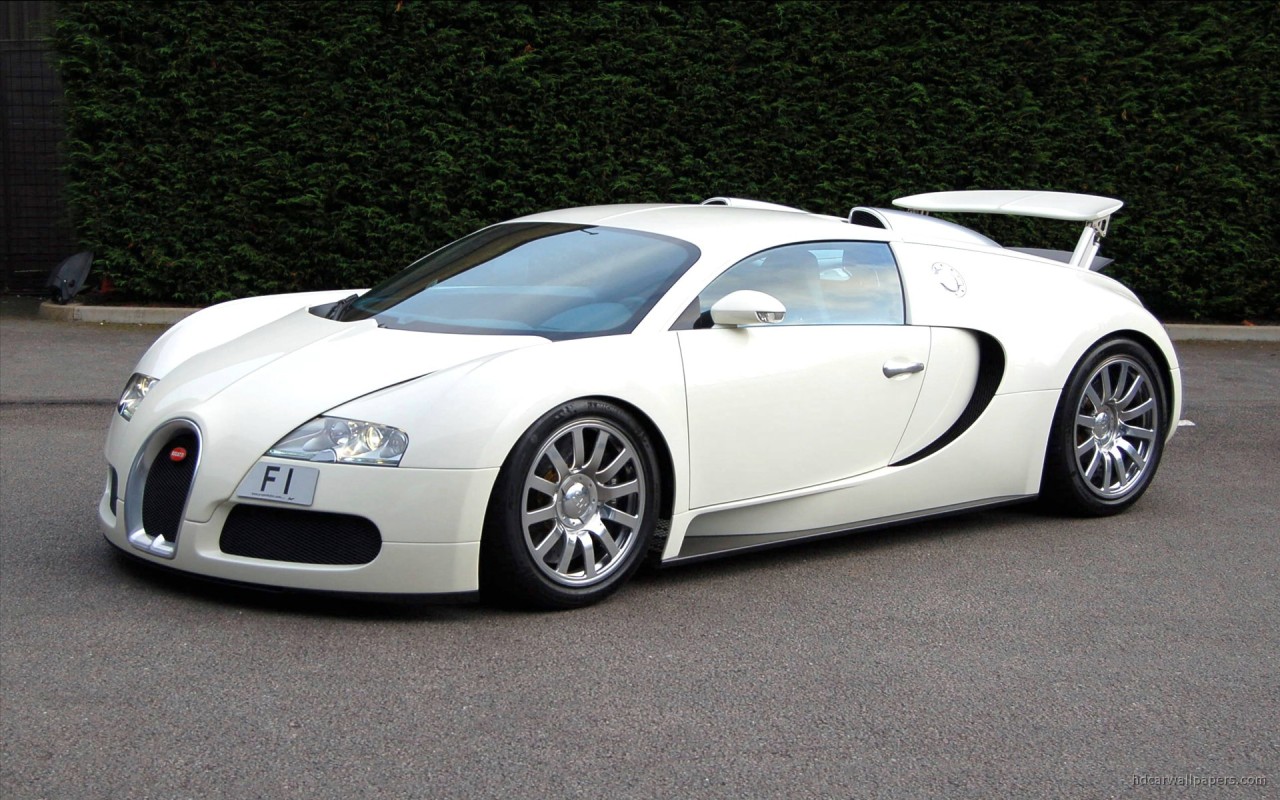 Bugatti Veyron F1 2009