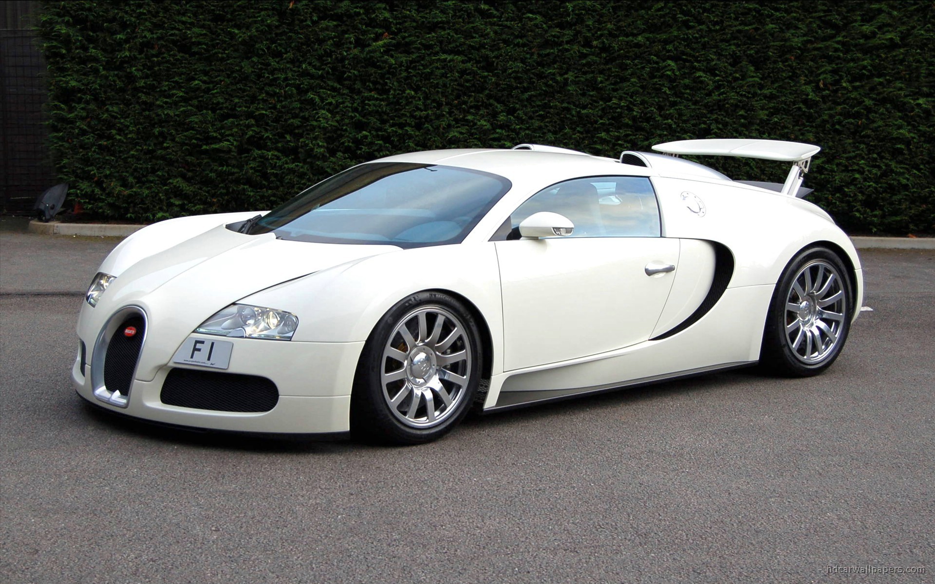 Bugatti Veyron F1 2009