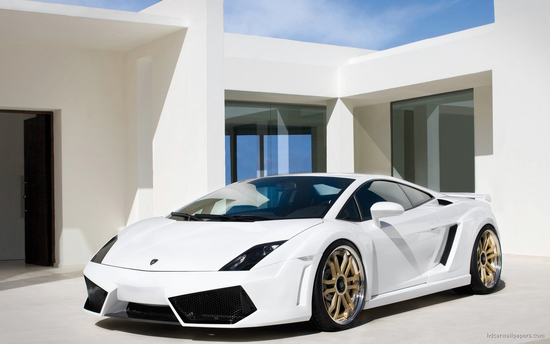 Lamborghini IMSA Gallardo LP 560 GTV 3