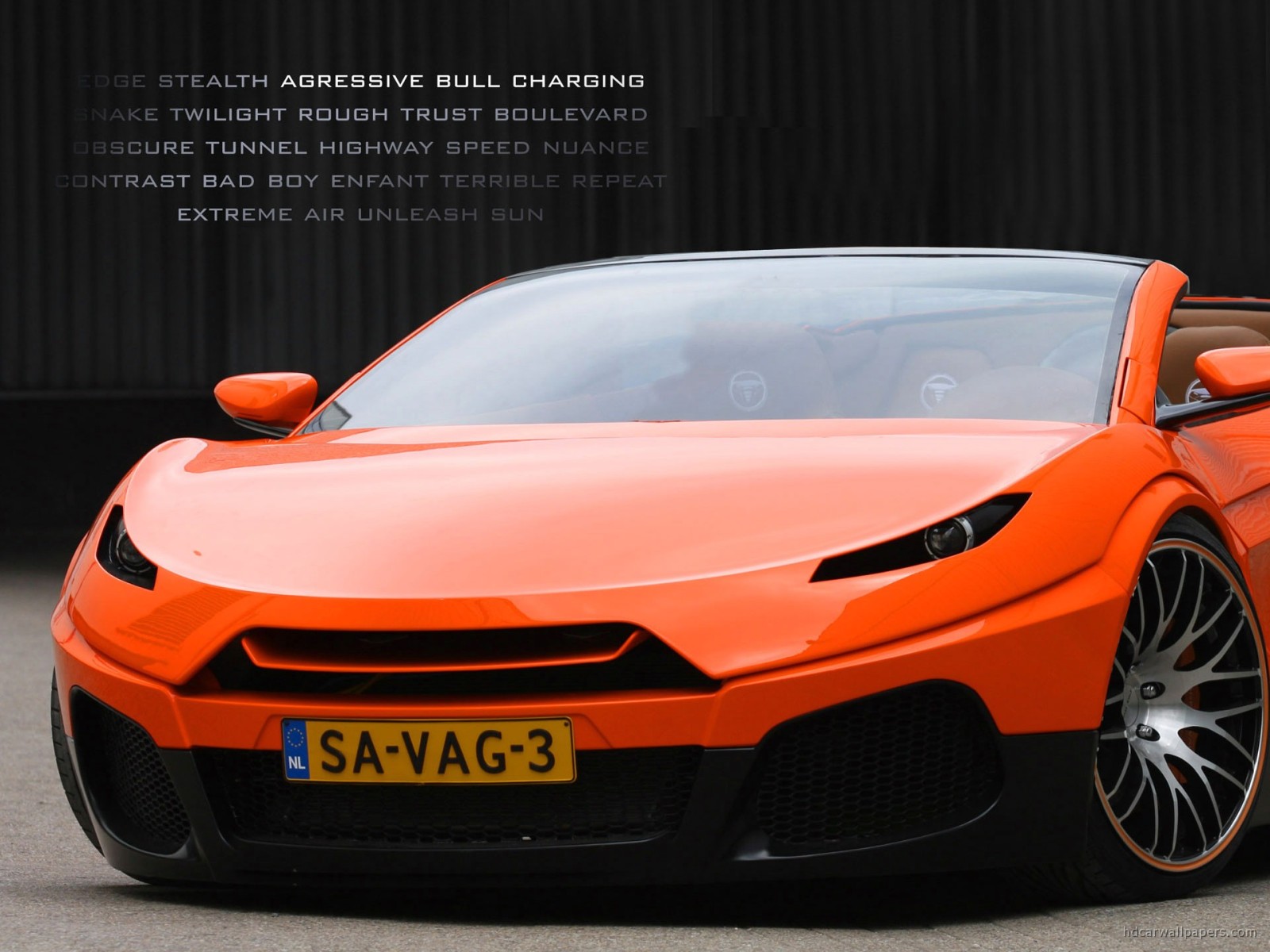 Savage Concept