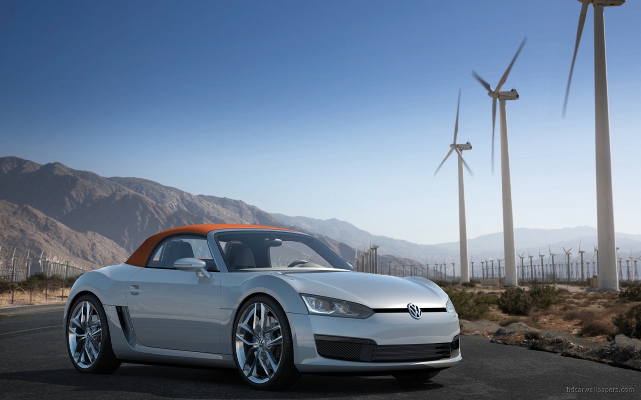 Volkswagen 2009 Bluesport