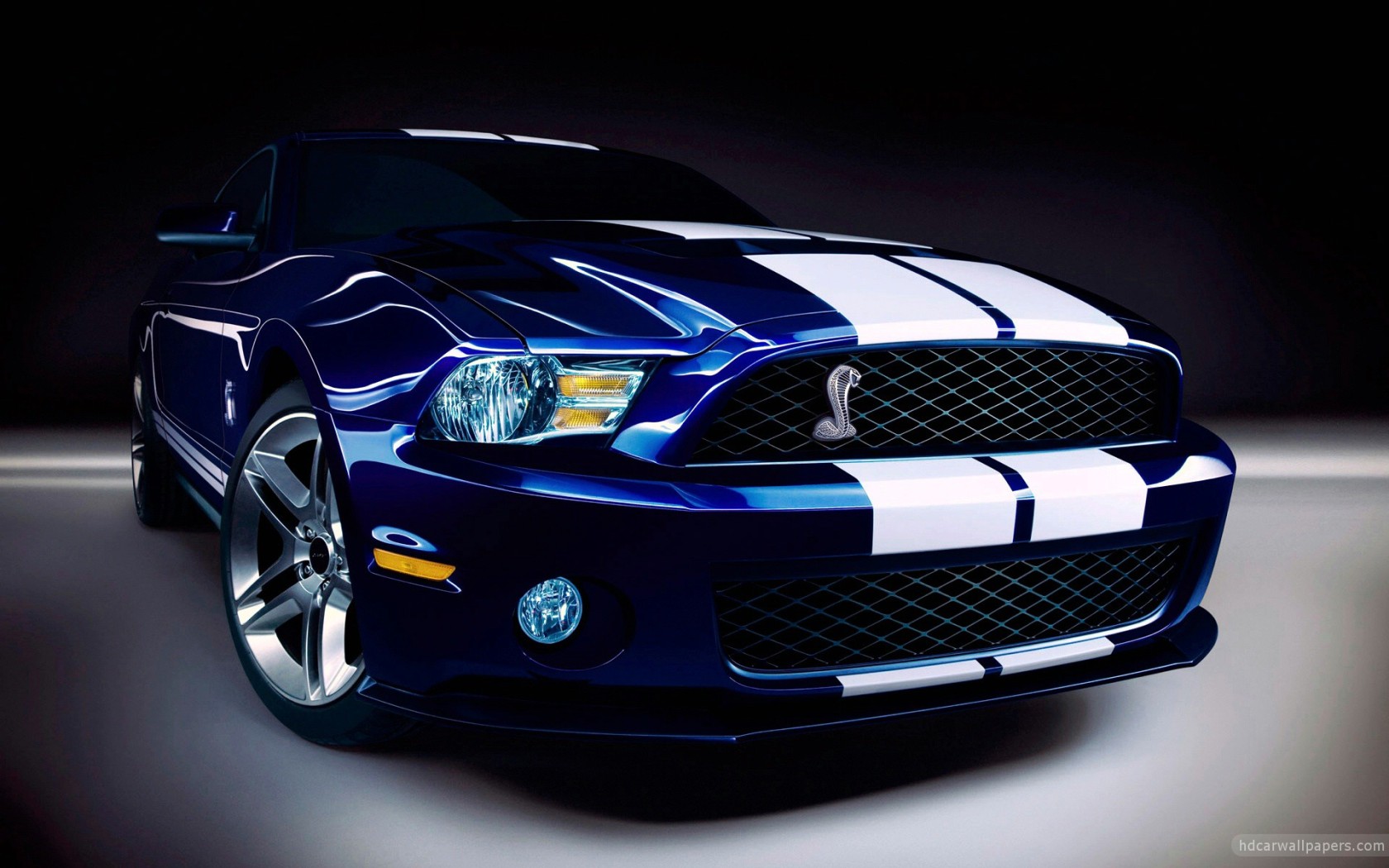 2010 Ford Shelby GT500