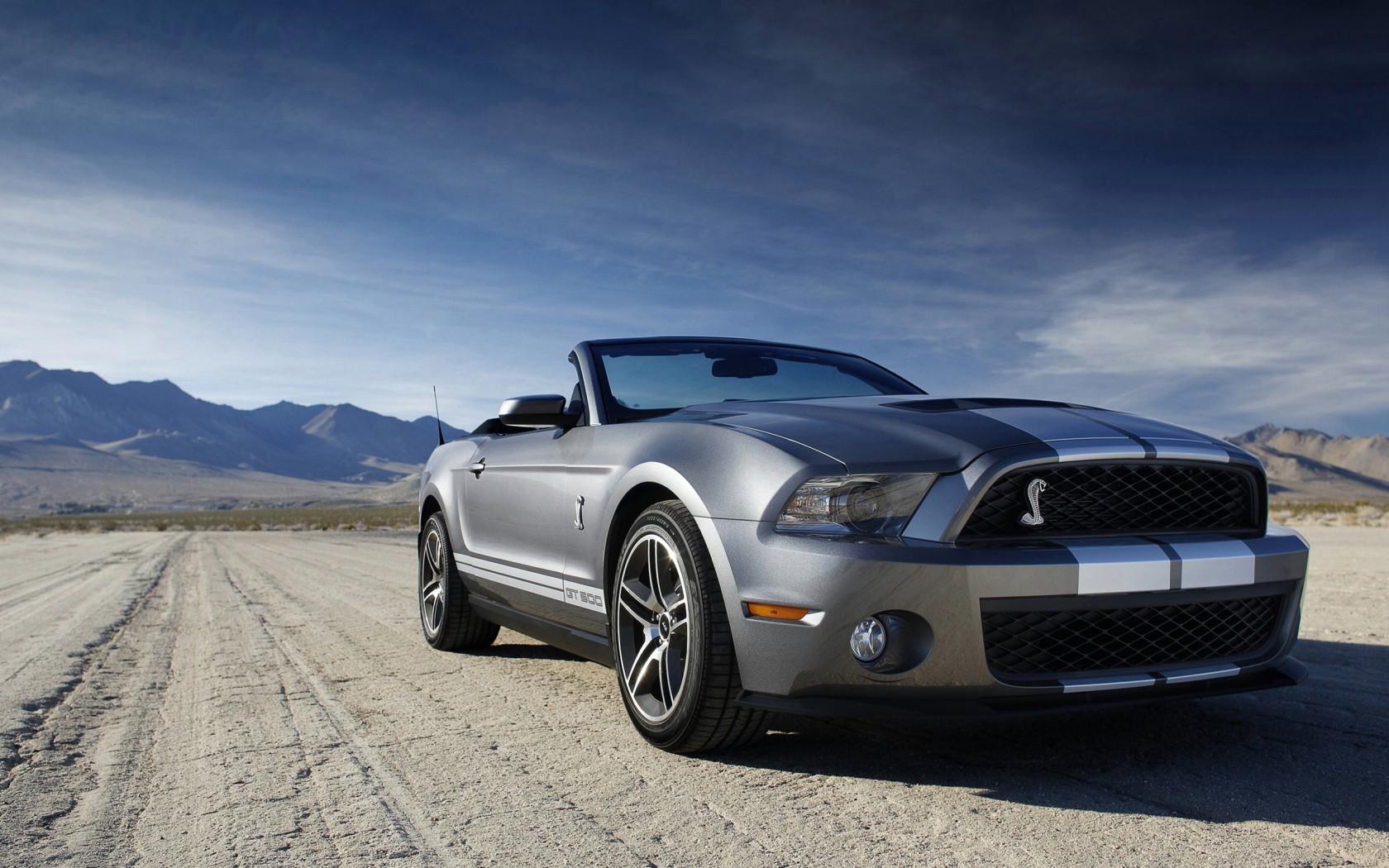 Ford Shelby Mustang GT 500