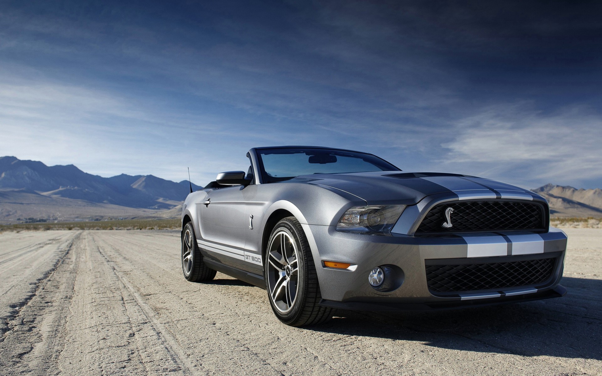 Ford Shelby Mustang GT 500