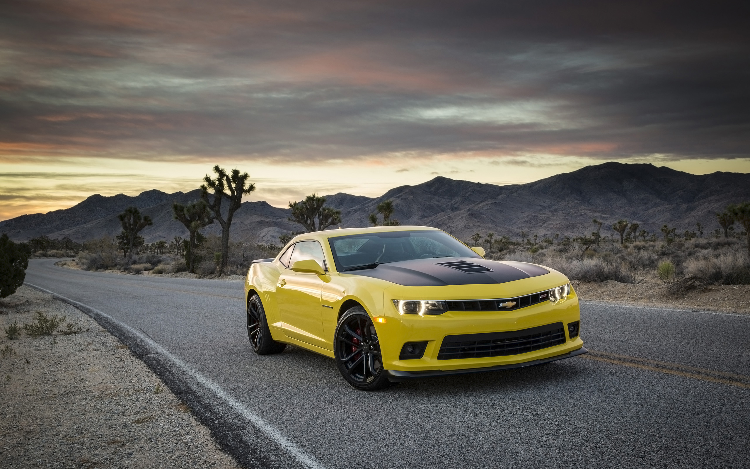 2014 Chevrolet Camaro 1LE