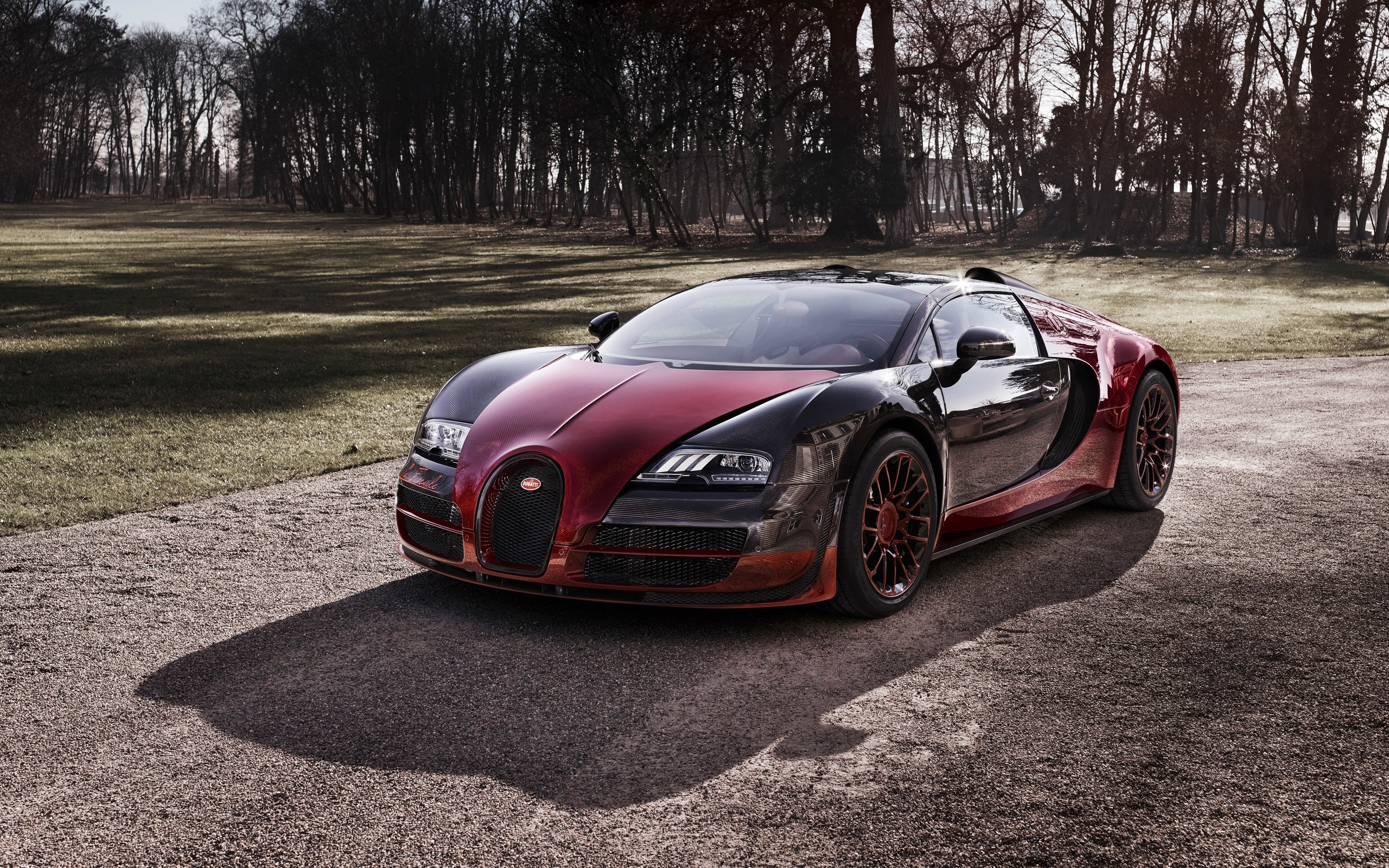 2015 Bugatti Veyron Grand Sport Vitesse La Finale