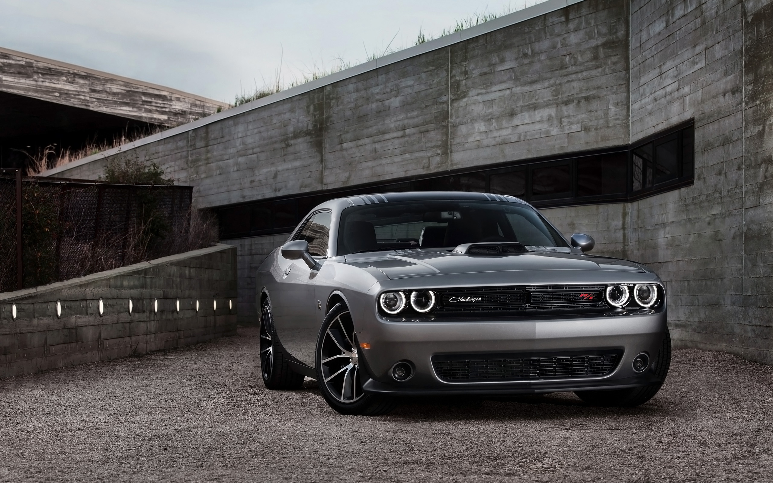 2015 Dodge Challenger Silver Wallpaper | HD Car Wallpapers | ID #4404