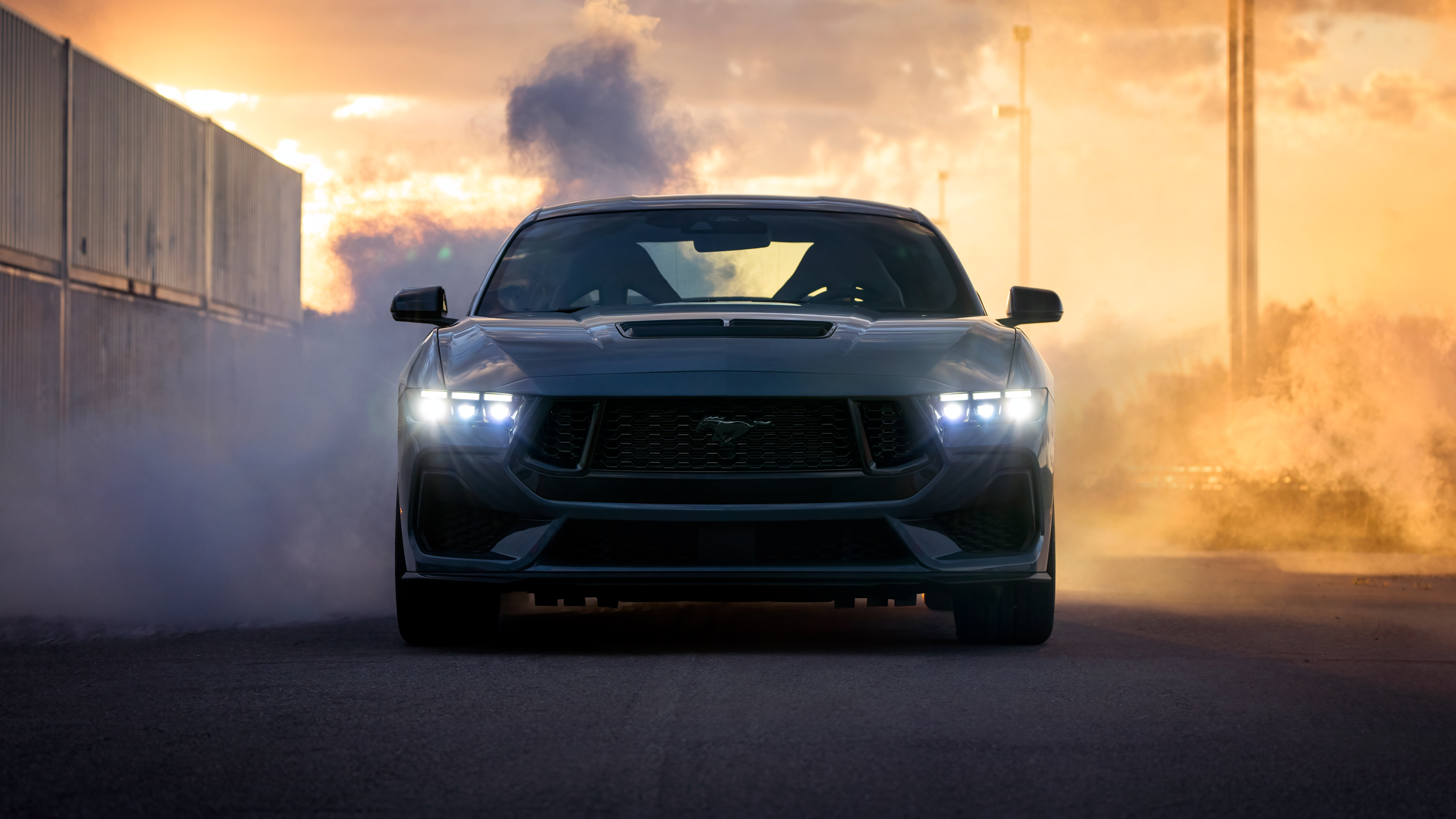 Mustang Photos Download The BEST Free Mustang Stock Photos  HD Images