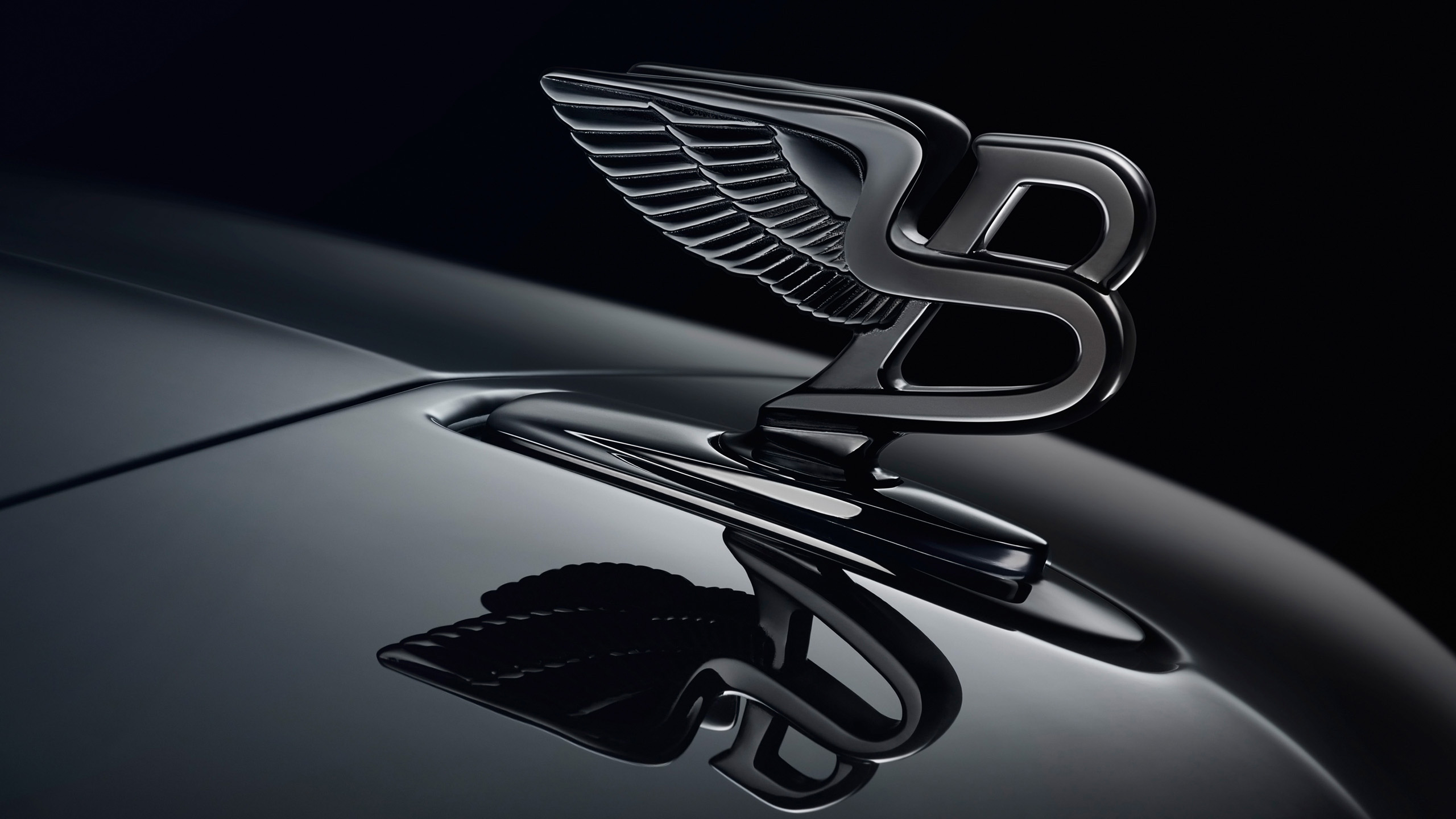 Car Logos wallpaper by TemptatioN  Download on ZEDGE  02bc