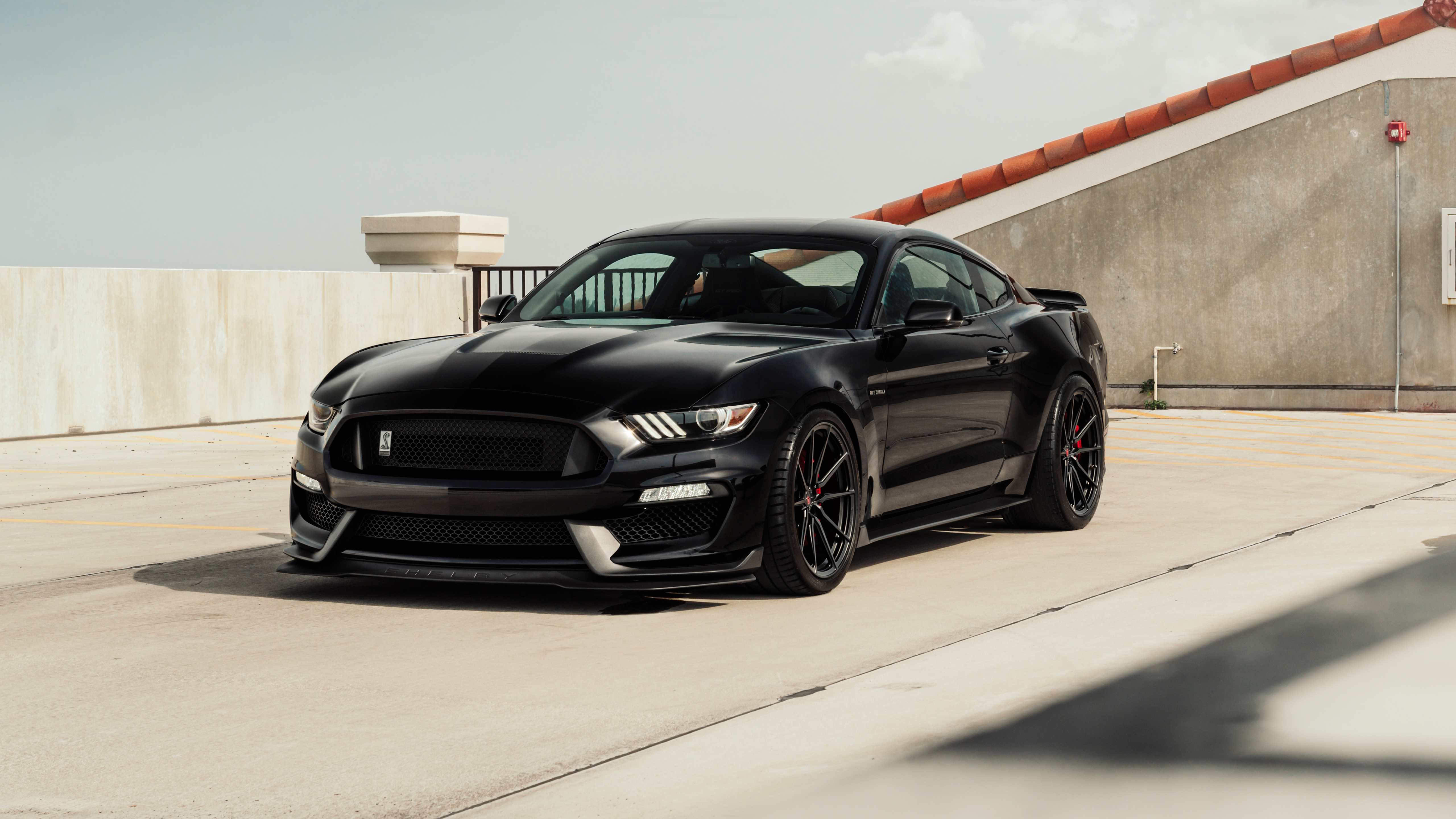 2024 Ford Mustang Gt Black Review New Cars Review 2024 Ford Mustang Gt Black Review New Cars Review