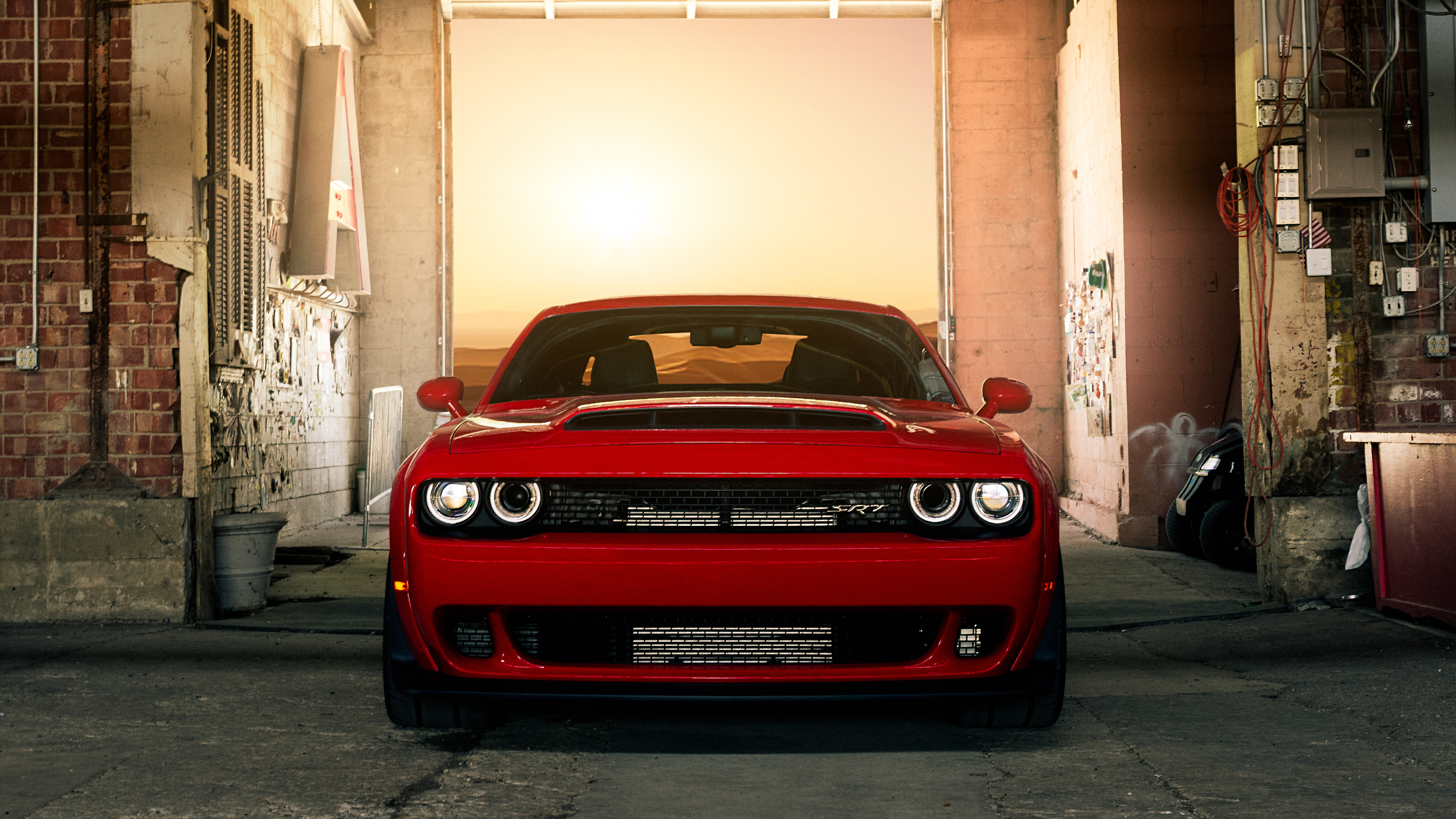 Wallpaper  Dodge Challenger Dodge Challenger Demon SRT car vehicle red  cars 2560x1600  figlover  1917765  HD Wallpapers  WallHere