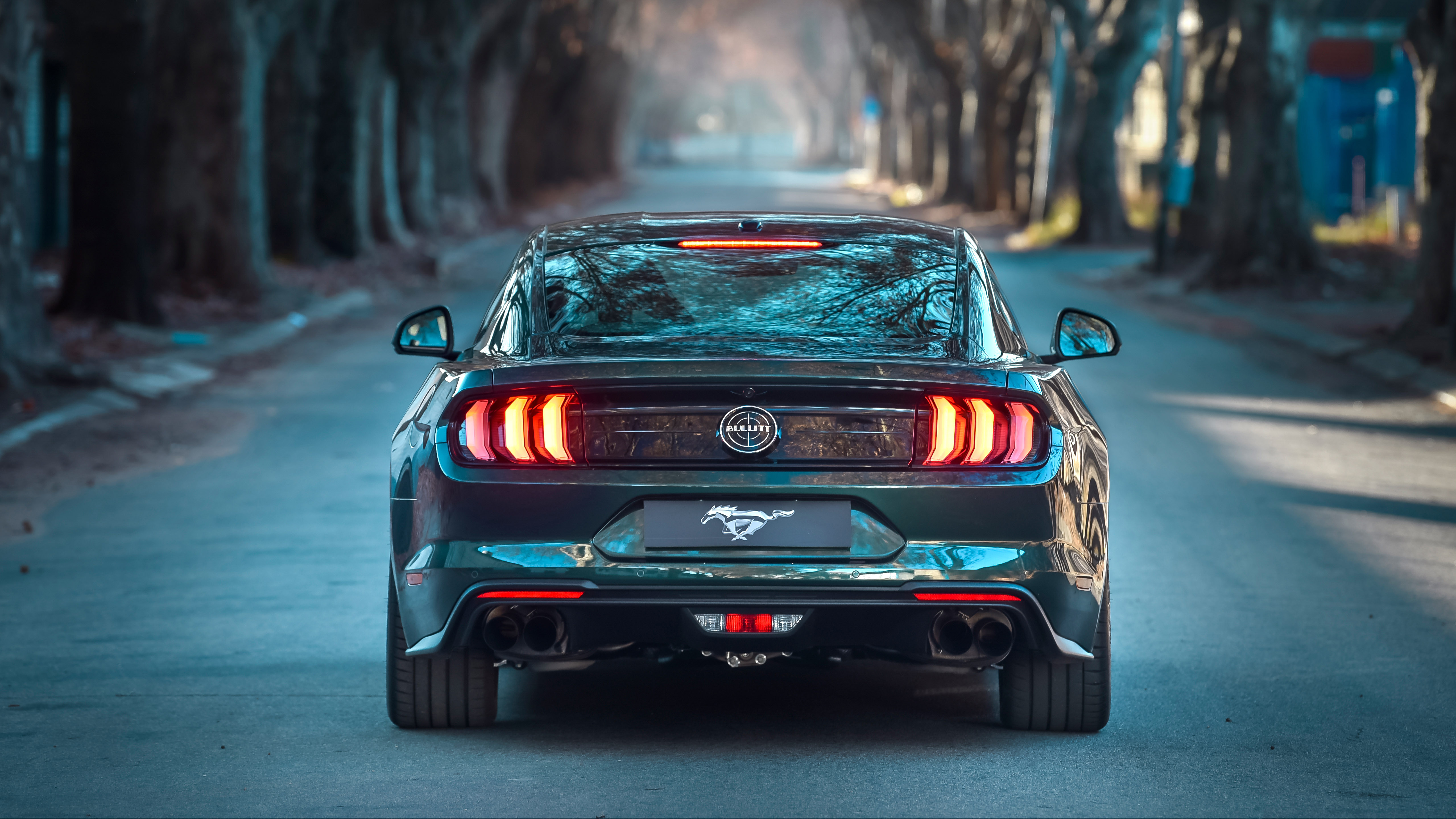 Ford Mustang Bullitt 2019 4K 4