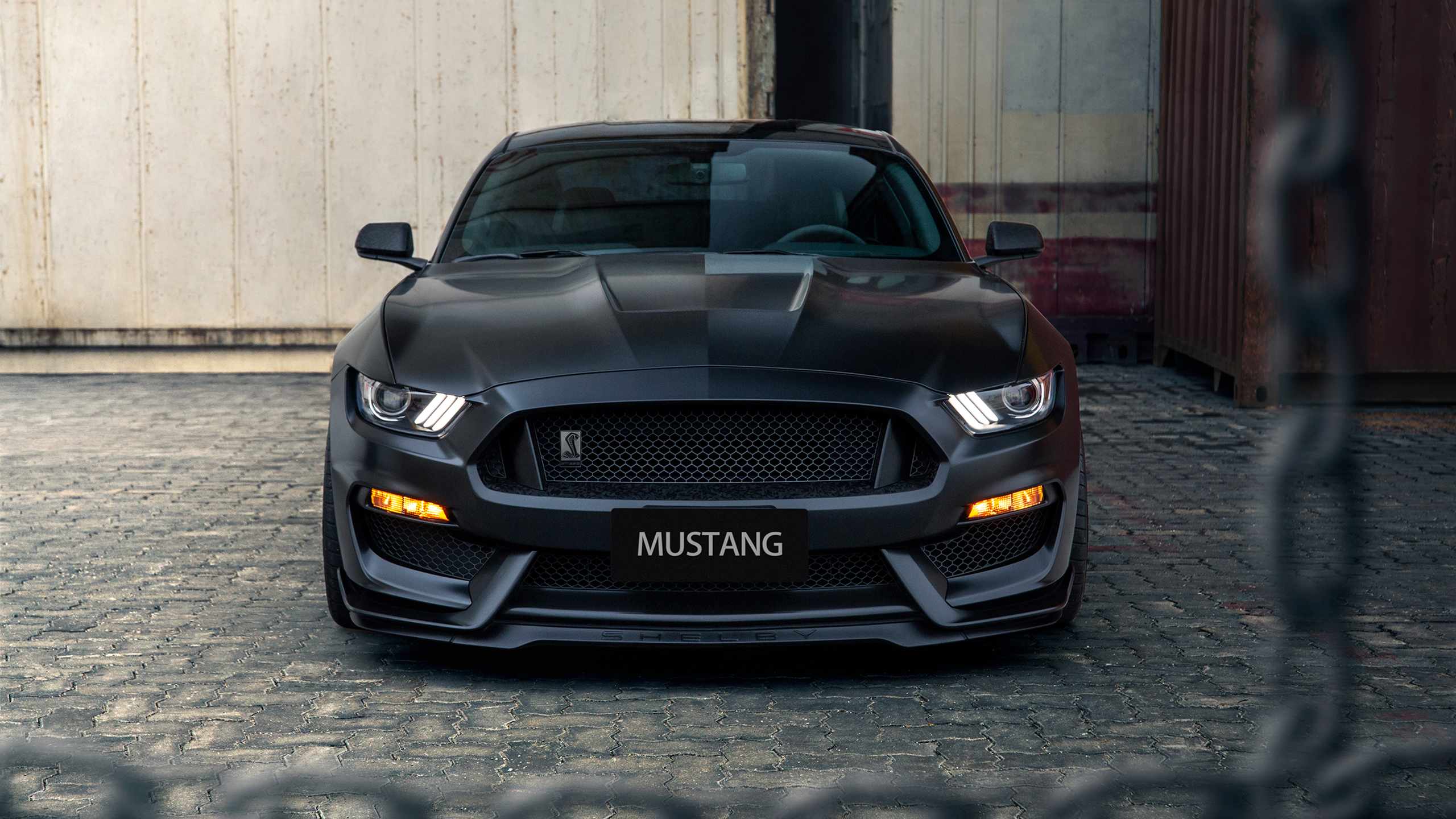Ford Mustang Shelby GT350 2 Wallpaper | HD Car Wallpapers ...