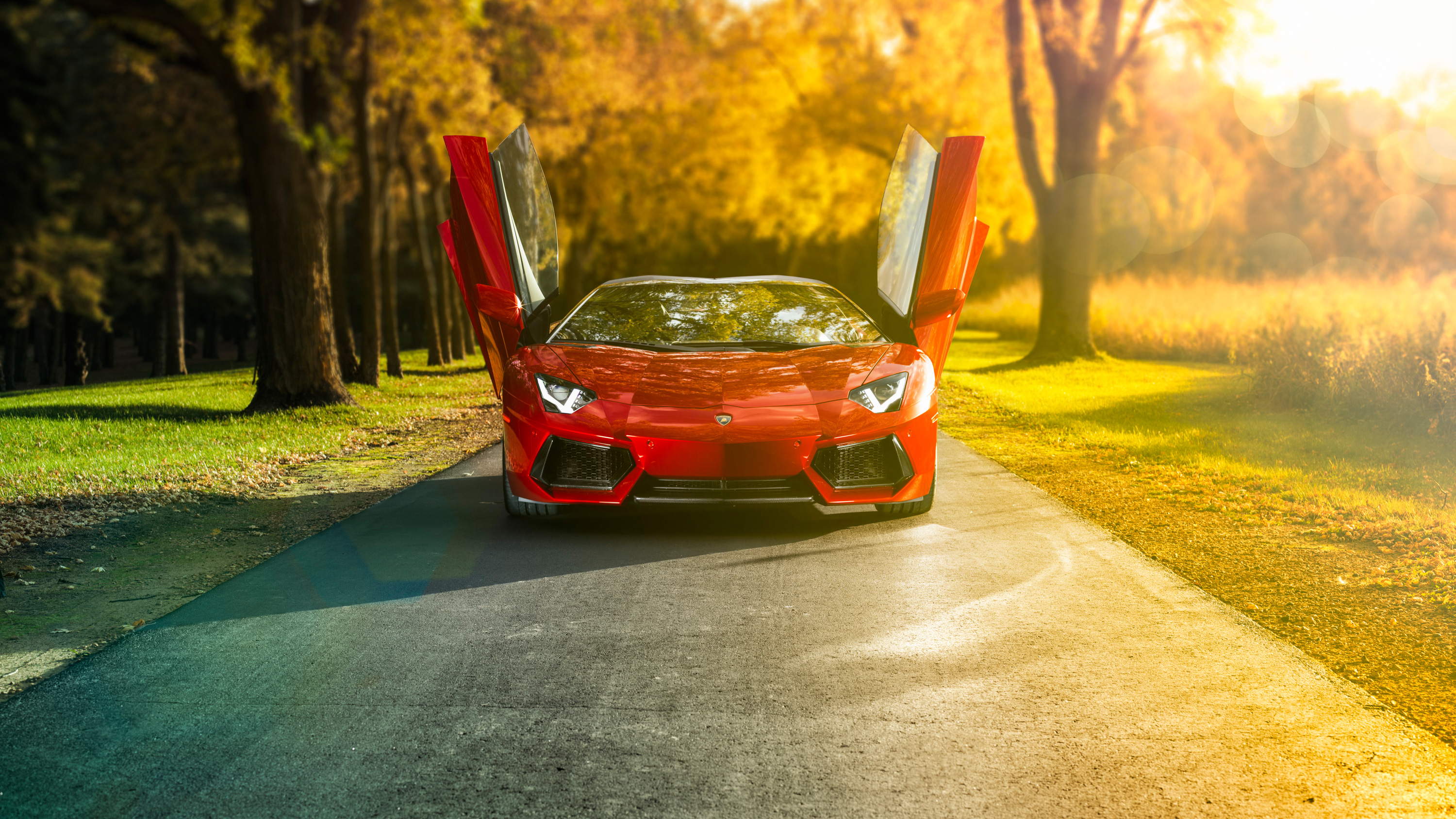 Lamborghini Aventador Roadster Wallpaper - HD Car Wallpapers #7134