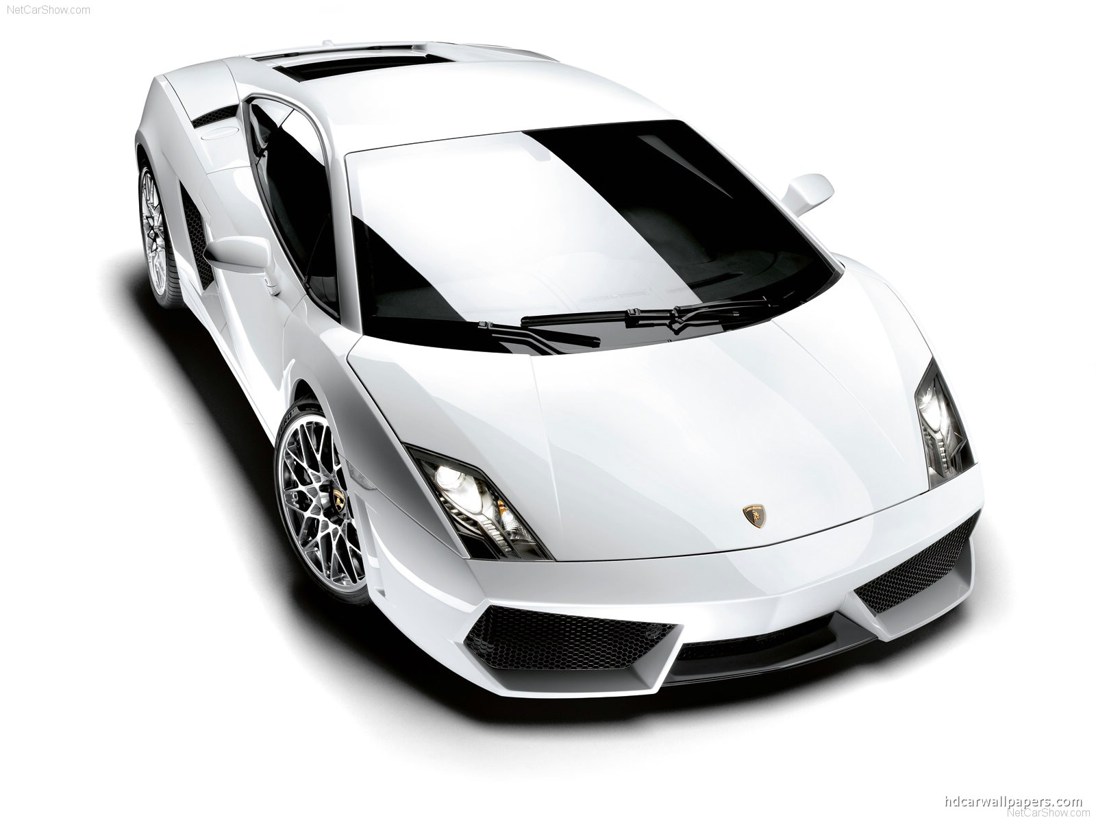 Lamborghini Gallardo LP in White Wallpaper - HD Car Wallpapers #950