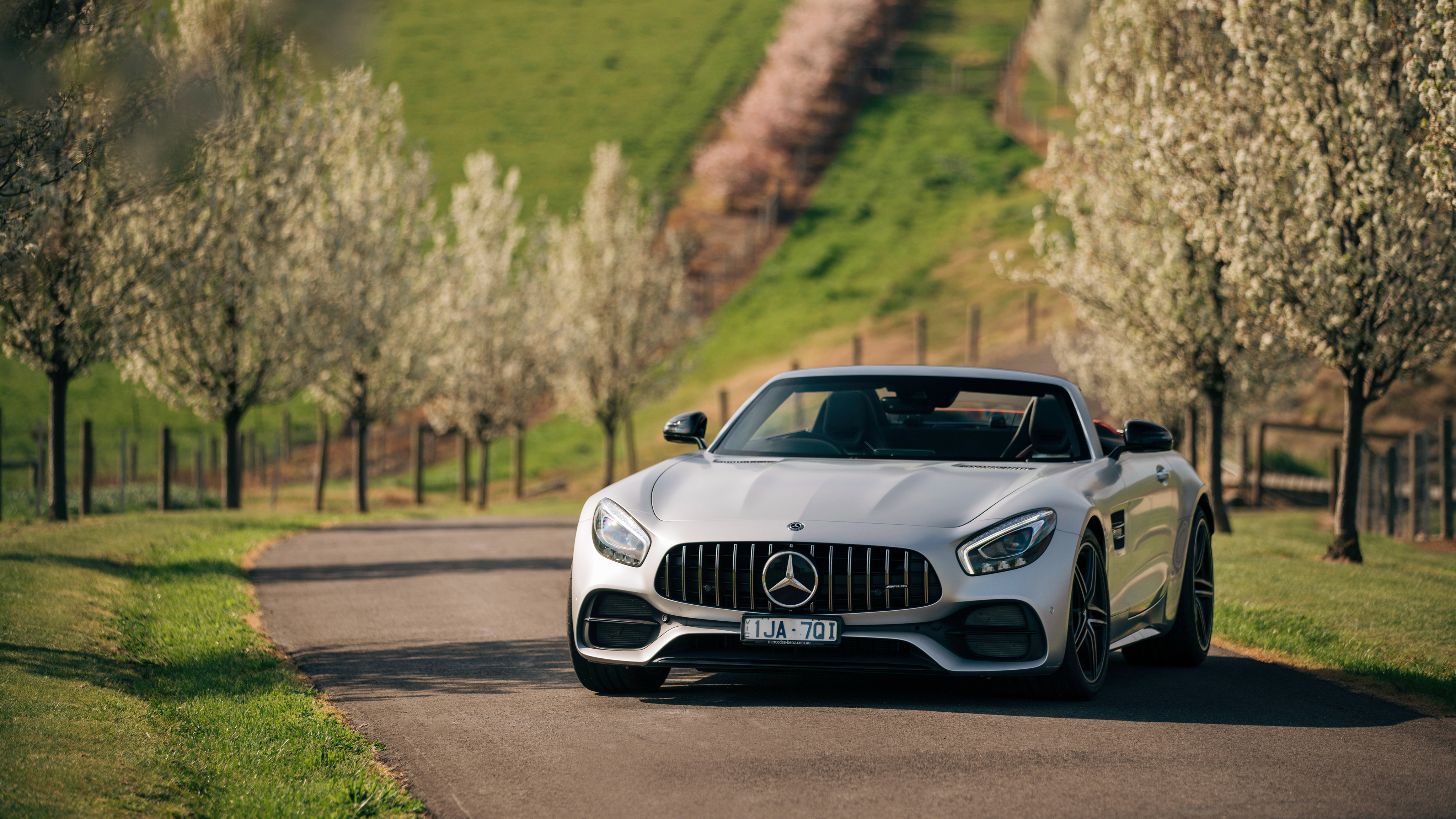 Mercedes AMG GT C Roadster 2018 4K Wallpaper | HD Car ...