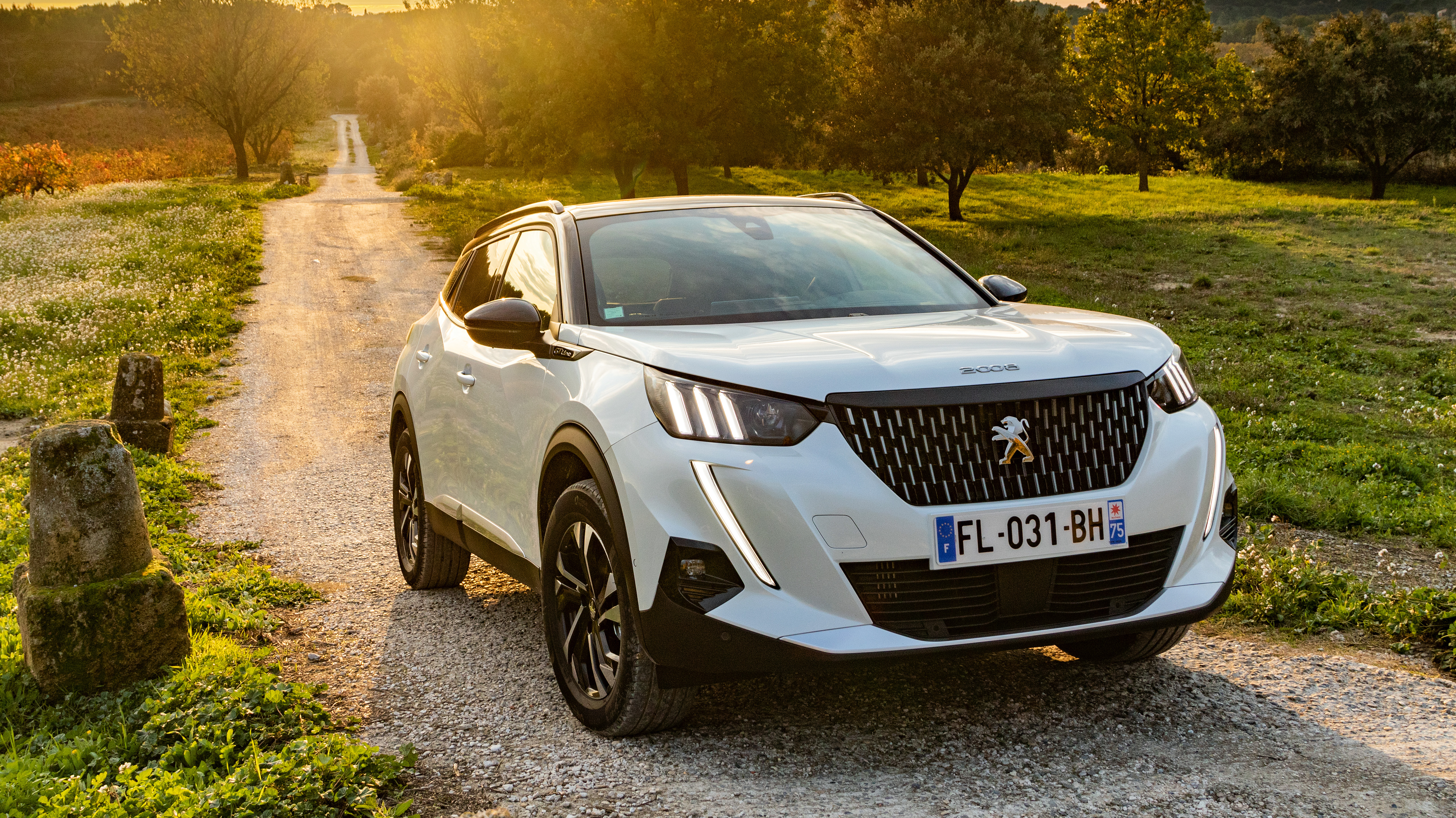 PEUGEOT 2008 II (2020+)