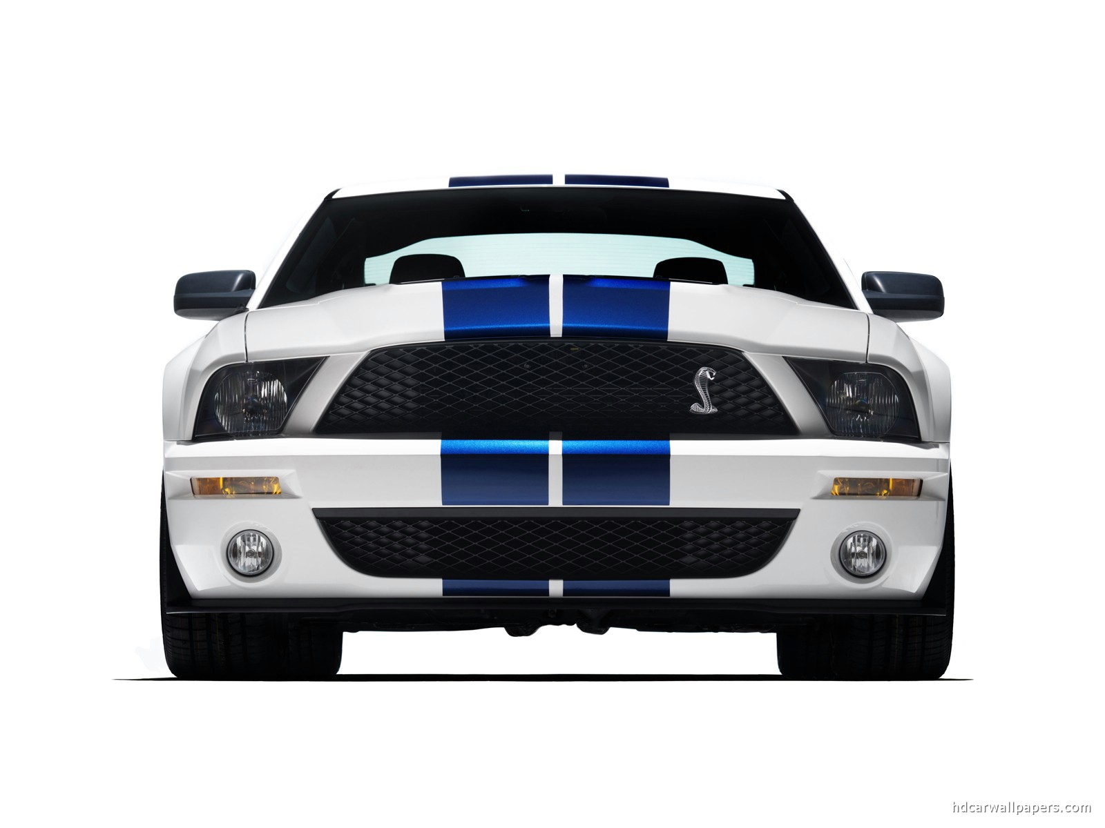 Cobra ford gt500 mustang shelby #8